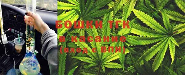 ешки Алексин