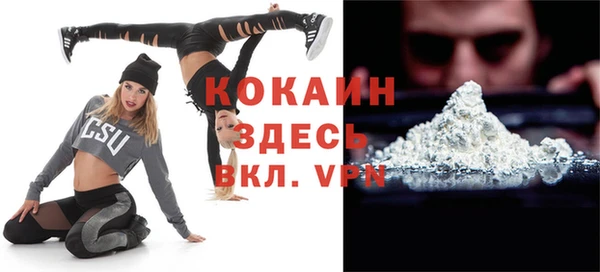 ешки Алексин