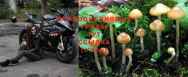 марихуана Абдулино