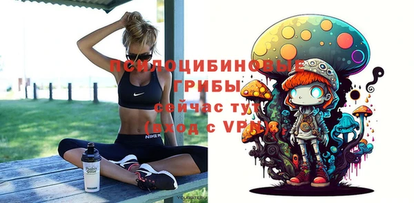 ешки Алексин