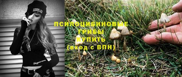 амф Алексеевка