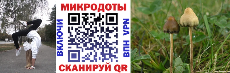 Галлюциногенные грибы мухоморы  Ростов-на-Дону 
